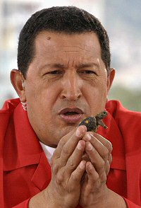 Chavezturtle