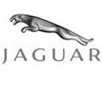 Jaguar Jaguar