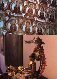 Newbuddhanakarn Newbuddhanakarn