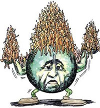 Overpopulation Overpopulation